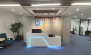 Wuhan The One Micro Technology Co., Ltd.