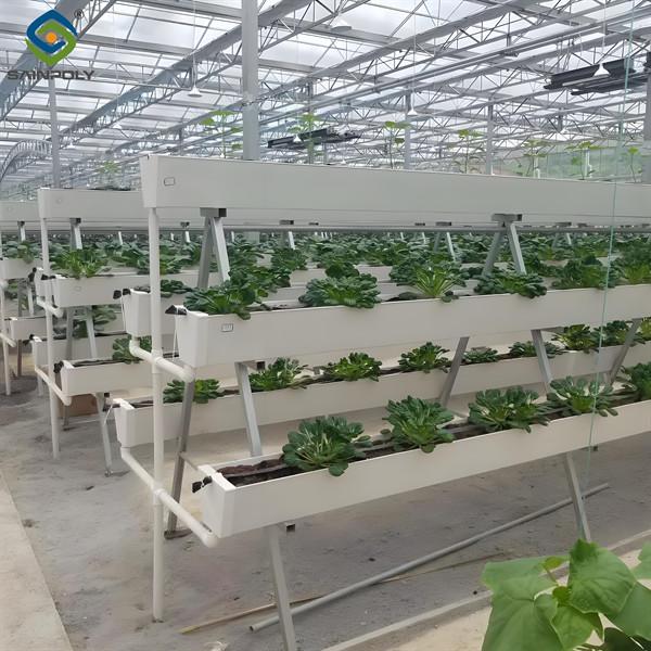 Substrate Cultivation Outdoor Hydroponics Greenhouse Weather Resistance