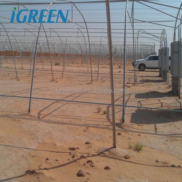 Hot Climate Tomato Plant Greenhouse 150 Micron Plastic Film Cover