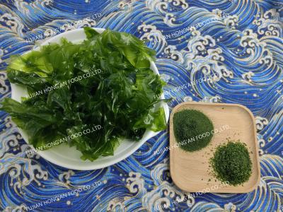 Umami Sabor Ulva Lactuca Algas marinhas verdes Especiarias Aspersas Certificado HACCP