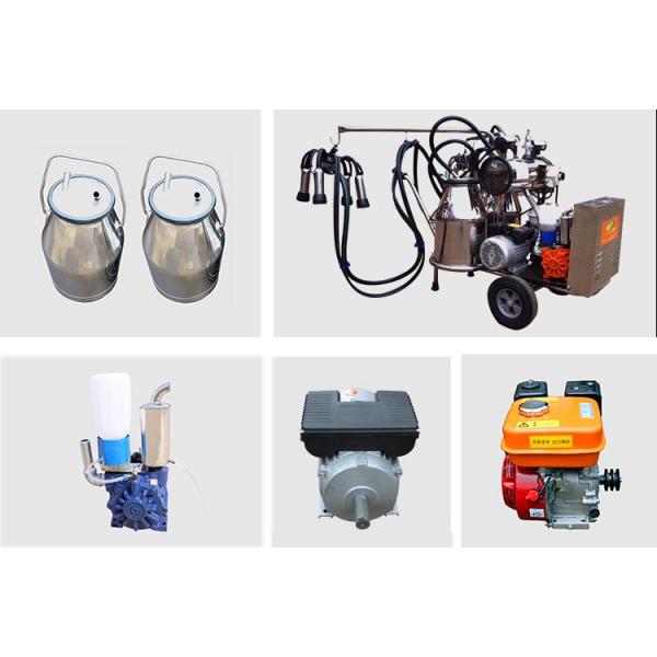 Dairy Farms 110V Portable Milking Machine With Vacuum Pump