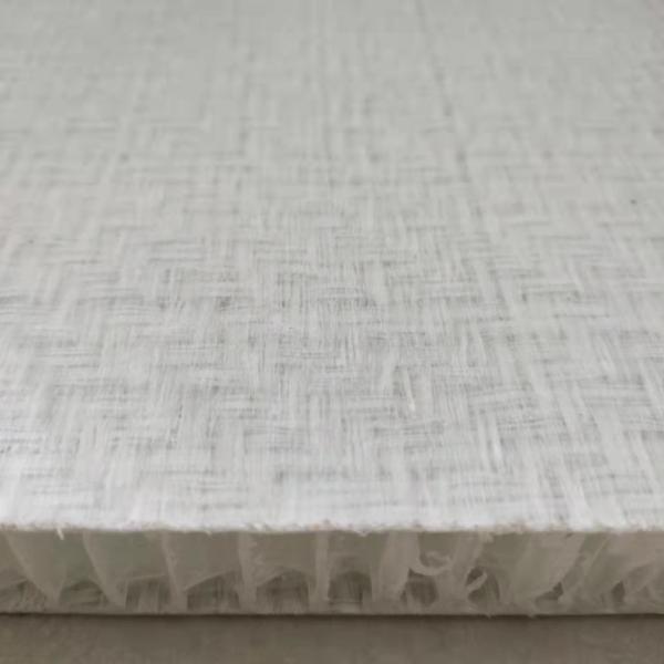 isolation phonique de panneaux de nid d'abeilles de 1800x2000mm FRP pour le