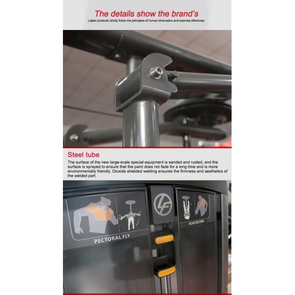 Professional Workout Gym Equipment Pectoral Fly Rear Deltoid Machine For Commercial