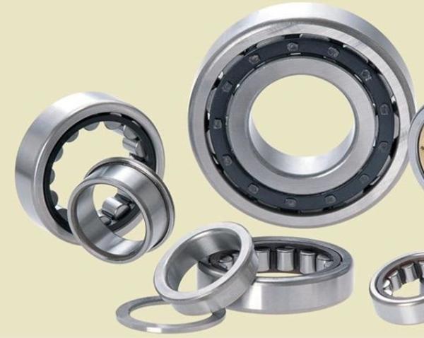 NUP series Cylindrical Roller Bearing NUP 312 Bearing chrome steel 60X130X31