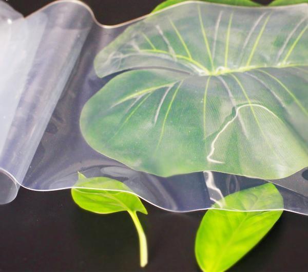 High Transparent 8Mpa Fumed Silicone Rubber 700% Elongation For Bake Wares