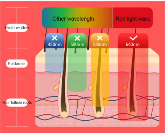 Sapphire Laser SHR Hair Removal Machine 640nm 480nm Permanent