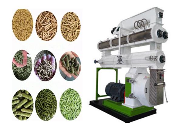 SS Ring Die Pig Poultry Feed Manufacturing Equipment With Siemens Motor