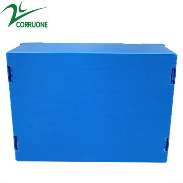 Corruone Hot Sale Customized waterproof foldable PP polypropylene sheet Material Vegetable Fruit Packaging and delivery Boxes