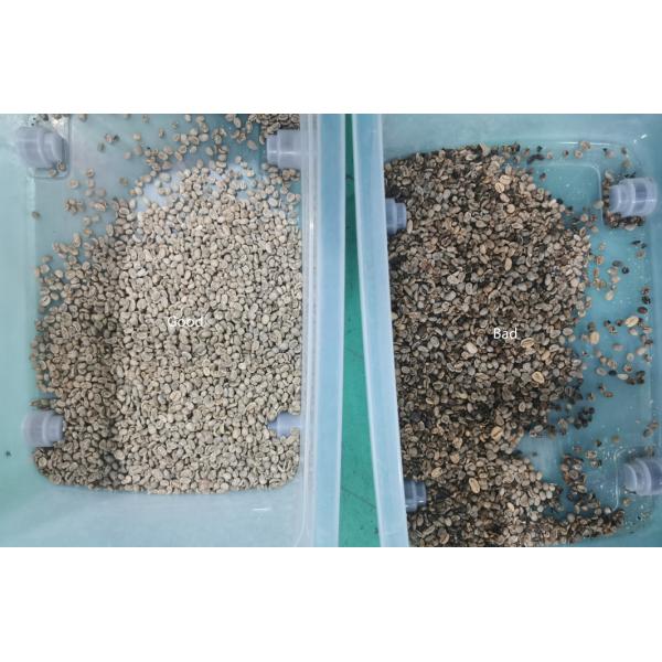 Самая последняя сортировщица цвета фасолей нута СИД CCD рыночной цены популярная в США