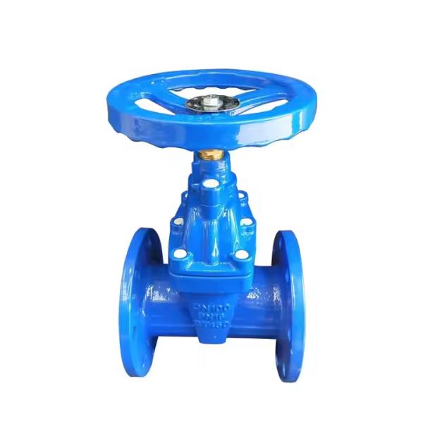 BS 4504 Ductile Iron PN10 PN16 DN100 50mm Non Rising Stem Gate Valve NRS Gate Valve For Water