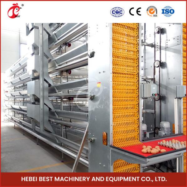 3/4/5/6 Tiers Automatic Chicken Battery Cage Equipment H Type For Layers Farm Emily