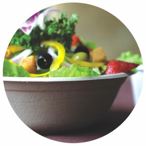 BAGASSE BIO-DEGRADABLE BOWL, HOT AND COLD FOOD, WITH COLVER/LID, SUITABLE FOR HOLDING SALAD, HOT SOUP, RICE, ICE CREAM