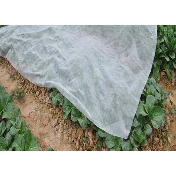 2% UV PP Spun - bond Agriculture Non Woven Landscape Fabric All GSM