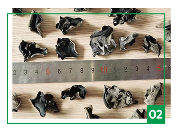 Wholesale Chinese High Quality Organic Fungus Low Price Mushroom Crispy and Fragrant Dried Black Fungus