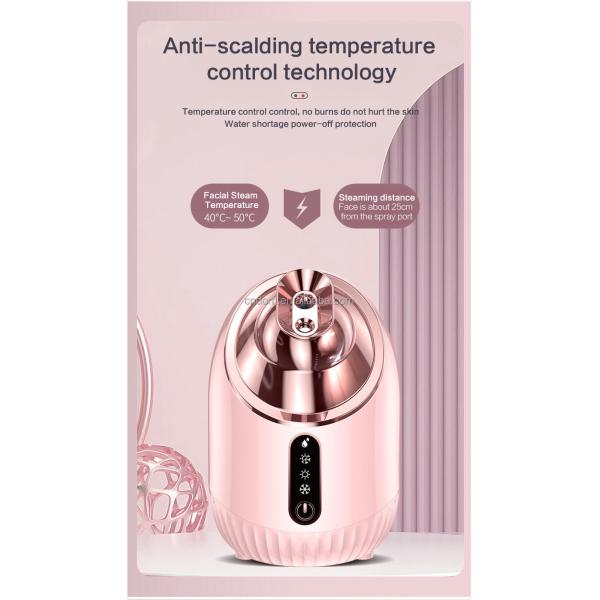 Facial Steamer Moisturizer for Multifunctional SPA Equipment Standard GB4706.15-2008