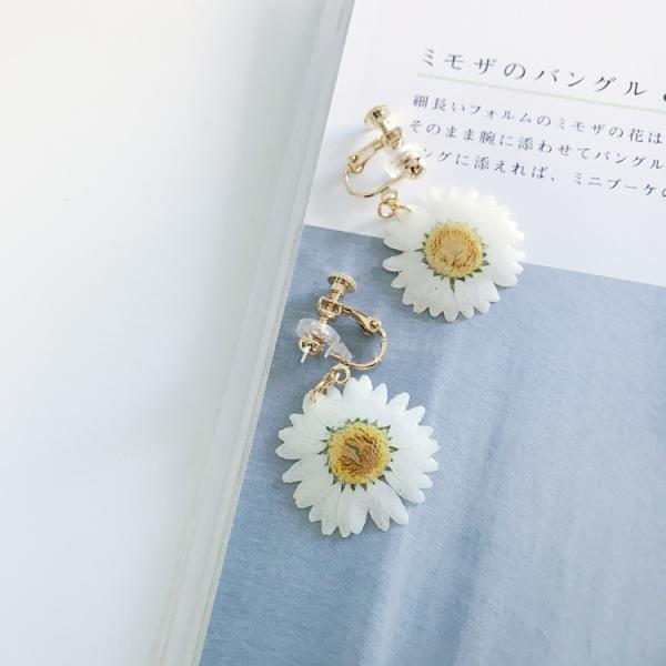 Forget-Me-Not Purple Earing Stud Cute Korea Style Women Loved Ball Earrings With Best Quality