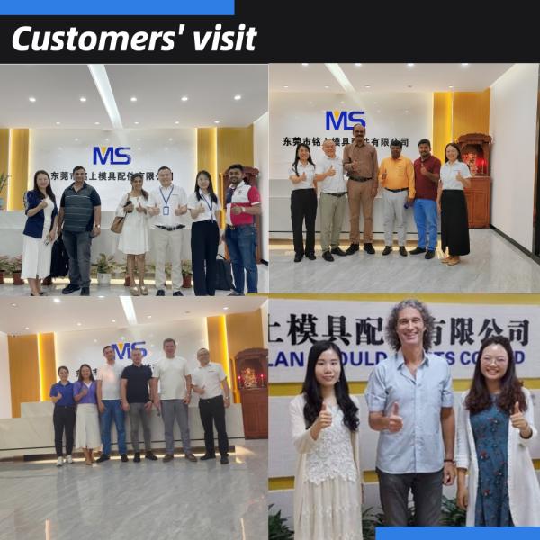 Мисуми стандартный круглый выбрызгиватель штифты и рукава пластиковые инъекционные формы компонент прямой выбрызгиватель рукава Hasco Dme