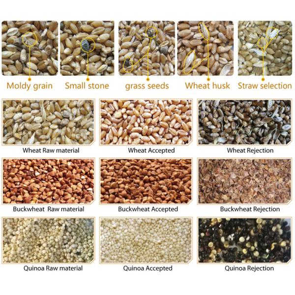 2 Channels 2.0Kw CCD Camera Wheat Sorting Machine