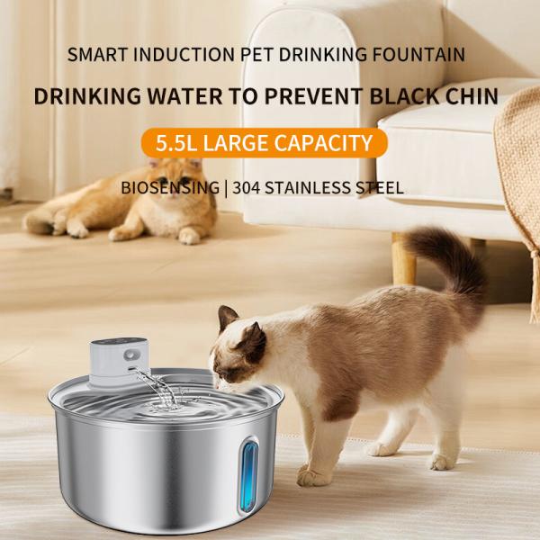Large Capacity Stainless Steel Pet Automatic Water Dispenser For Pet Supply Standard Carton 12 Sets/Carton 5000 MAh Battery