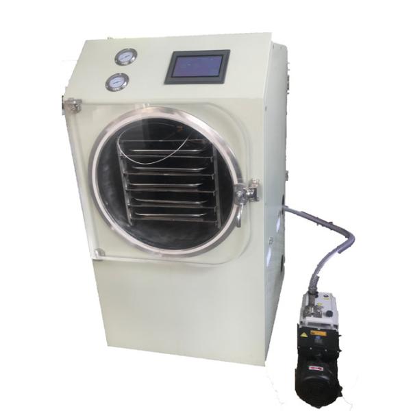 Mini Kitchen Freeze Dryer Great Power Stable Performance Convenient Operation