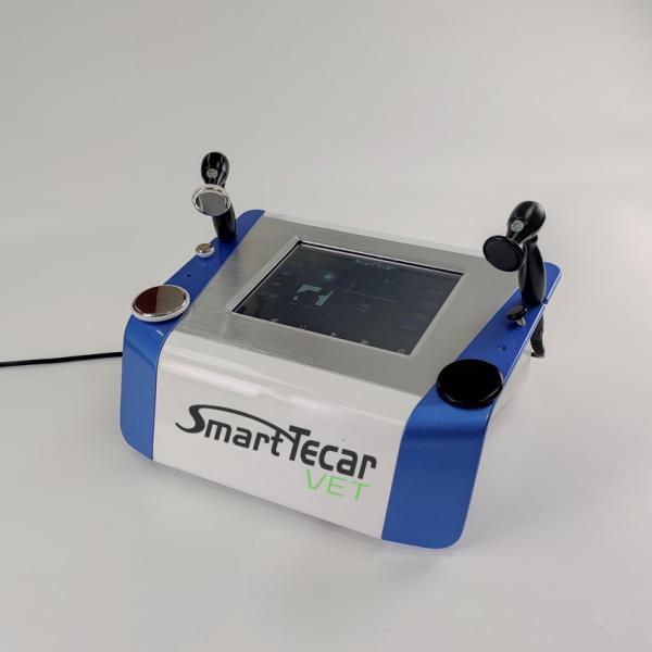 Máquina veterinária portátil da terapia de Tecar da fisioterapia para o alívio das dores dos gatos dos cães do cavalo do animal de estimação