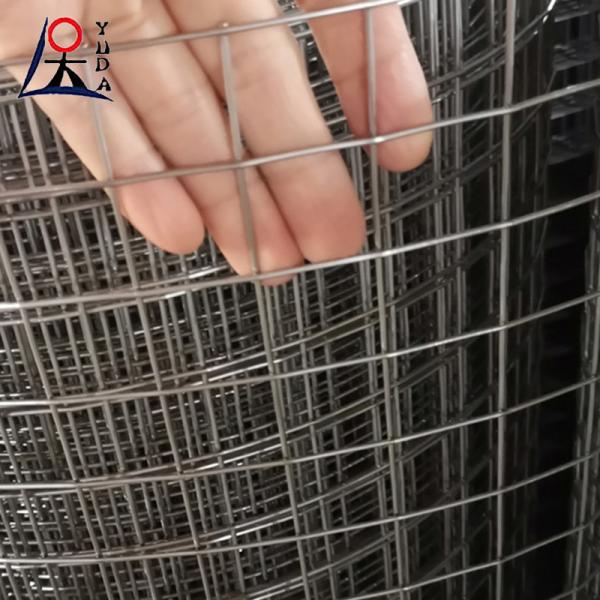Galvanized Welded Wire Mesh Fence Roll 2x2 Fine Wire Diameter