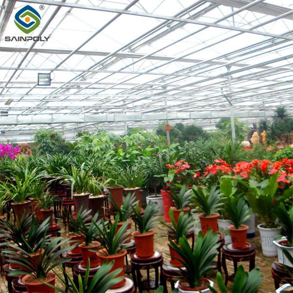 Sainpoly Commercial  Agricultural Flower Green Houses For Planting