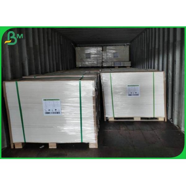 Водоустойчивая бумага чашки картона 190g 210g Foodgrade для сырья бумажного стаканчика PE 650mm 1000mm 190g 210g +18g покрыло белую бумагу запаса чашки для чашки напитка воды