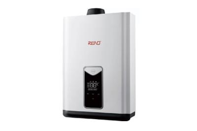 10L Gas Hot Water Heaters Wall Hung Household Instant Gas Water Heater