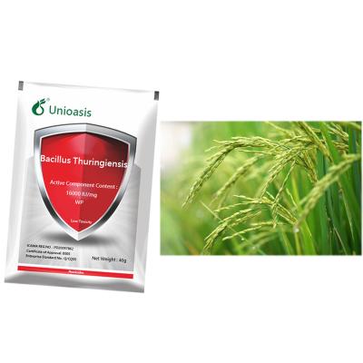 Bacillus Thuringiensis Pure Biological Agent 16000 IU/mg Wholesale Factory Vegetables Rice Corn Pests