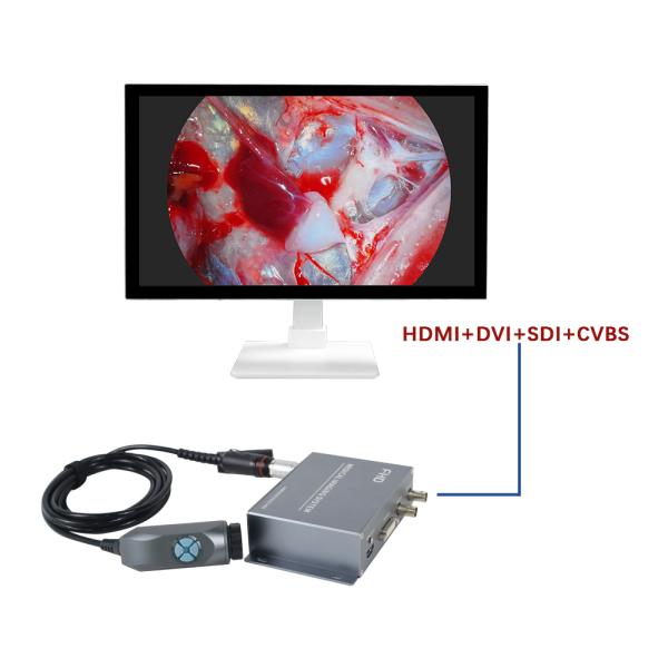 Caméra médicale endoscopique rigide HDMI 1080P portable pour animaux de compagnie et vétérinaires