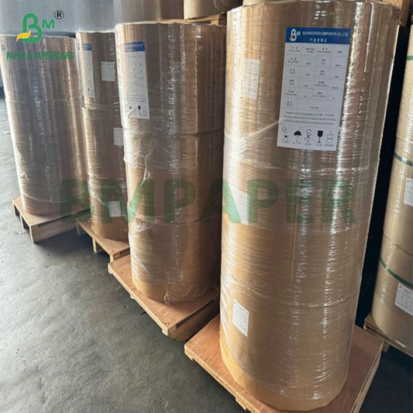 Oilproof PE Coated 170g 190g Bowl Cardboard Used For Making Salad Bowls Oilproof PE Coated 170g 190g Bowl Cardboard Used For Making Salad Bowls
