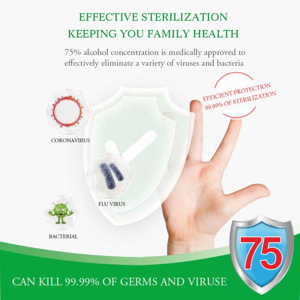 Portable Household Alcohol Based Hand Sanitizer 75% Alcohol Antibacterial Hand Sanitizer