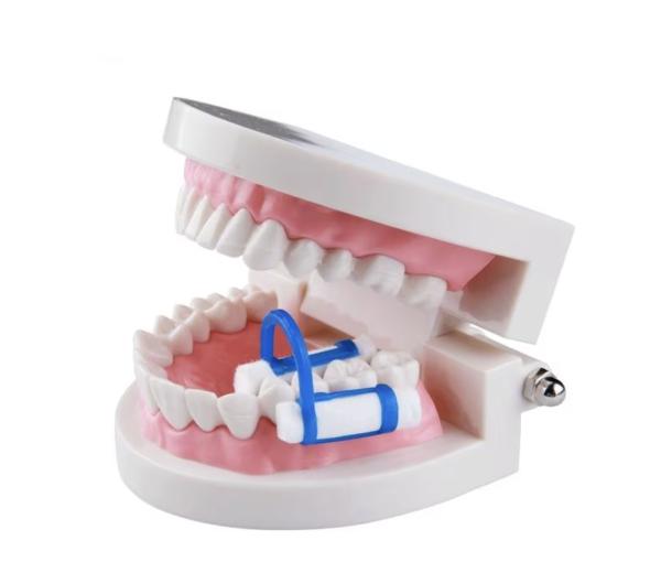 Dental Cotton Roll Clamp Medical Consumable Ozone Disinfecting Type