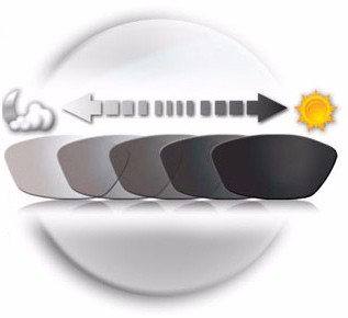 Round Top Semi Finished Lens Blanks Bifocal Vision SF 1.56 Photochromic Type