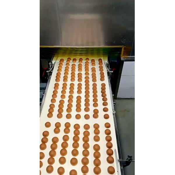 PLC 1000kg/H формируя пакуя заполненную производственную линию хлеба плюшки автоматическую