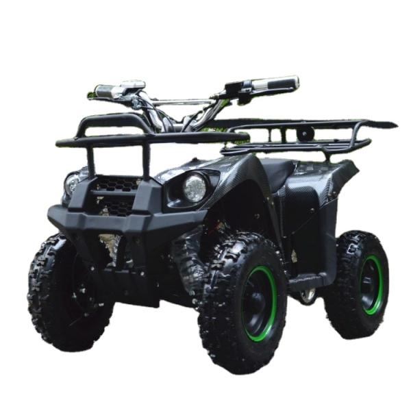 800w Mini Electric ATV for Kids and Adults Small Off-road Electric Quad Bike ATV