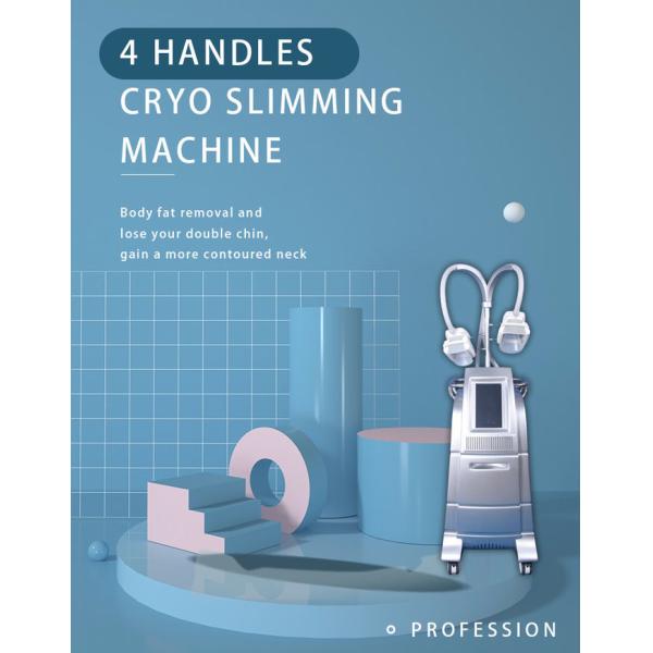 Professional cryo fat beauty machine fatest slimming weight loss cryo equipment LF-207B