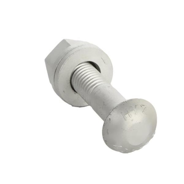 ASTM A307 de aço inoxidável encantam os parafusos e o treinador Bolts do transporte das porcas M5