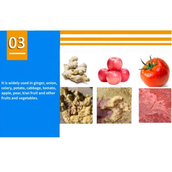 Máquina de triturar batatas, maçãs e tomates para processamento de frutas e vegetais