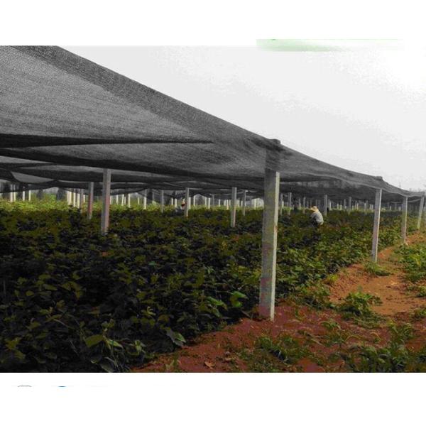 80% shading rate farm sun shade net for plant in low price