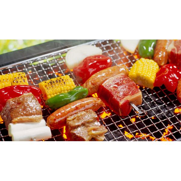 Fabricant en céramique de gril de BARBECUE de petit du feu charbon de bois japonais de sens