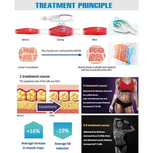 Muscle Stimulator Weight Loss Slim Beauty Machine Body Muscle Sculpt