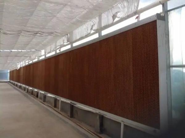 Source Factory Pvc Frame 7090 Honeycomb Cooling Pad for Greenhouse and Poultry Farms air Cooling System