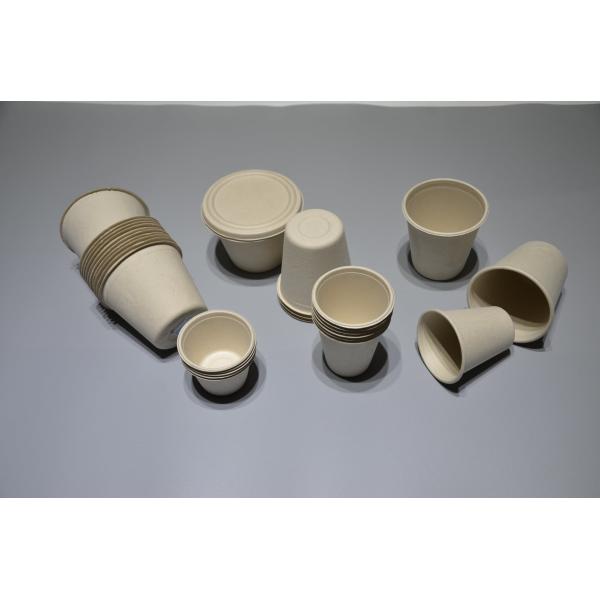 Automated Biodegradable Sugarcane Bagasse Pulp Molding Machine With Double Horizontal Walking Manipulator