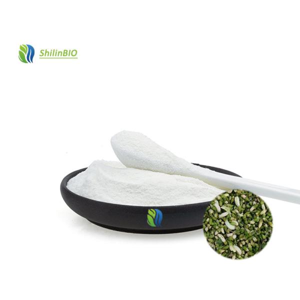 Precio al por mayor Genistein en polvo Cas 446-72-0 98% Sophora Japonica extracto en polvo Genistein