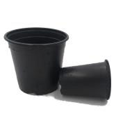 Flor plásticos potenciômetros de 1 do galão de pouco peso 18.5cm para a plântula do alho poró