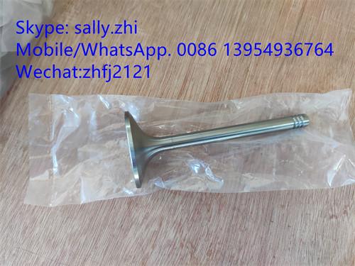 sdlg inlet valve 4110000054096/12159606  for Weichai Deutz TD226B WP6G125E22, weichai engine parts for sale