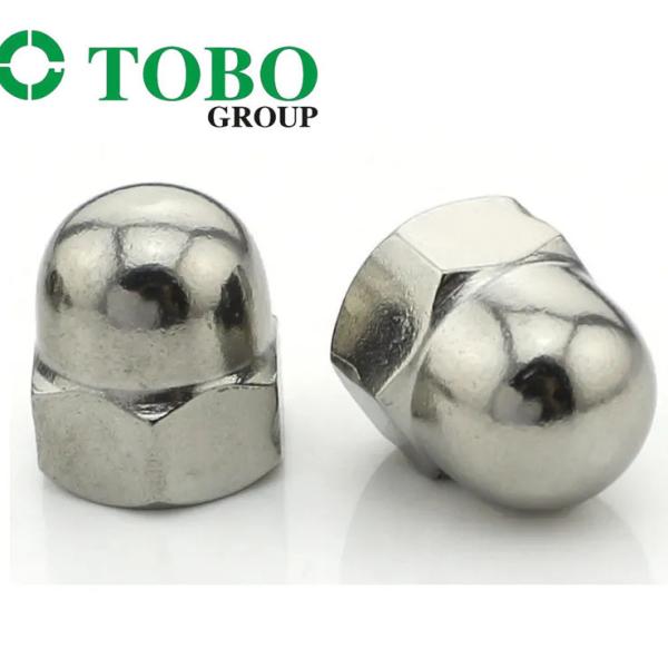 DIN1587 Carbon stainless steel hex domed nut acorn nut