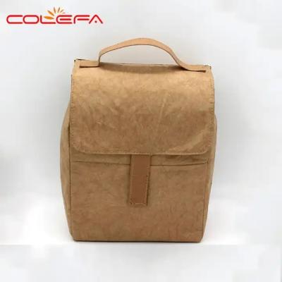 Brown Dupont Tyvek Paper Lunch Cooler Bag Custom Aluminium Foil Thermal Insulation